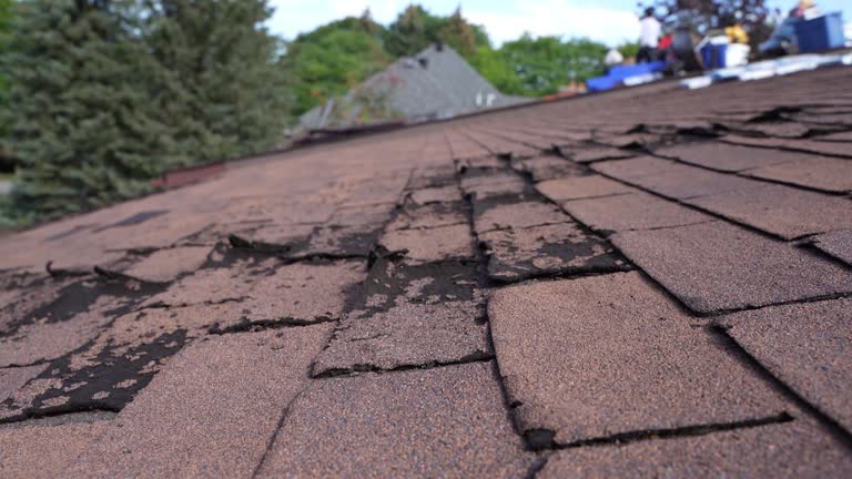 Fast & Reliable Emergency Roof Repairs in Payne, OH